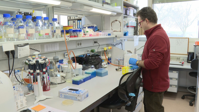 Miguel Vicente Manzanares, uno de los investigadores del CIC, durante su jornada en el laboratorio de biofísica tumoral.