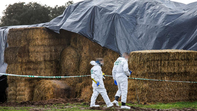 ICAL |Miembros de la Policía Científica de la Guardia Civil examinando el lugar donde se encontró el cuerpo del joven en Sanjuanejo.