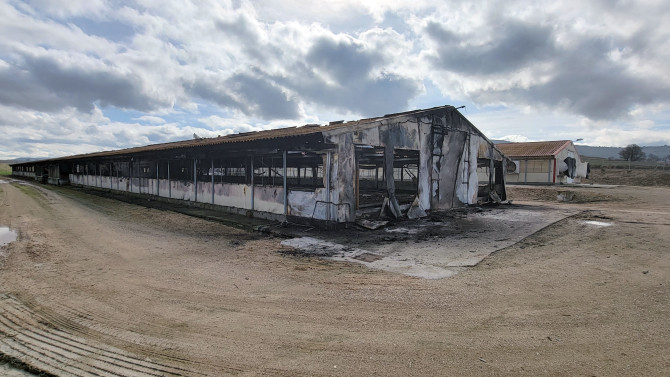 ICAL. Nave avícola ubicada en Cevico de la Torre, Palencia, tras el incendio.