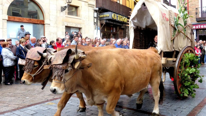 Uno de los Carros engalanados participando en el desfile de la capital leonesa