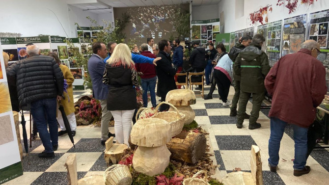 La muestra se estrena en Almarza, dentro del Micotour de otoño #DeSetasPorSoria, que recorrerá 21 localidades durante varias semanas. 